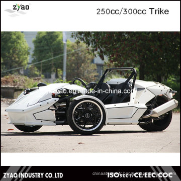 Hot Sale EEC 250cc Racing Motor Tricycle